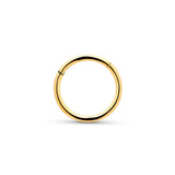 Trident 24kt Gold PVD Titanium Hinged Segment Ring