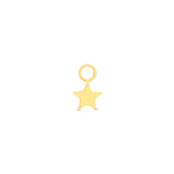 Trident 24kt Gold PVD Titanium Star Dangle