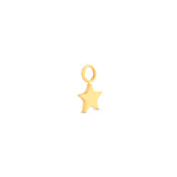 Trident 24kt Gold PVD Titanium Dangle Star