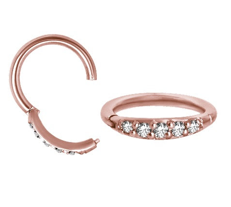 RG Jewelled Hinged Segment