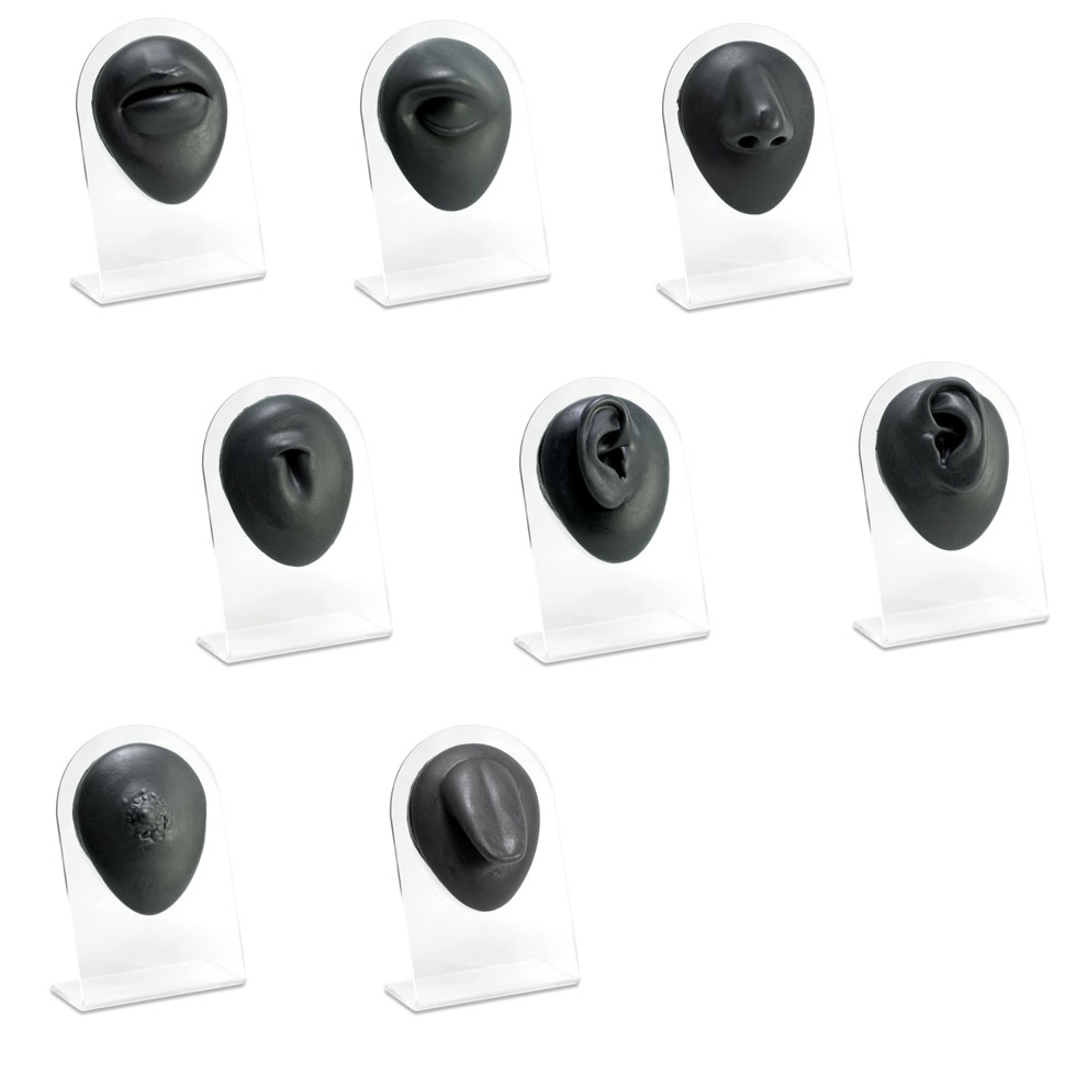 Silicone Ear Display